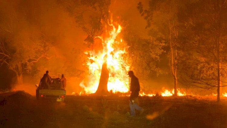 Like 'Armageddon': Farmers reeling in aftermath of a terrifying firestorm they had no hope of beating